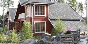 Jazzy seriy_thumb.jpg