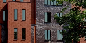 Adelajda gładkiej i Melbourne gładkiej7.jpg