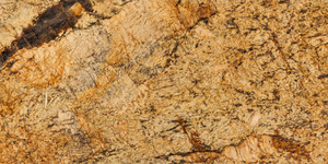 Alaska Gold_43A3246.jpg