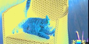 Террасная доска из ДПК Bamberg, Solid, Lebanese Cedar17