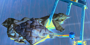 Террасная доска из ДПК Bamberg, Solid, Lebanese Cedar20