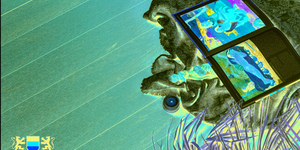 Террасная доска из ДПК Bamberg, Square, African Bubinga22