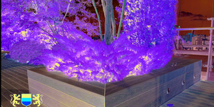 Террасная доска из ДПК Bamberg, Square, Brazilian Walnut37