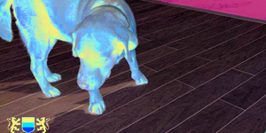 Террасная доска из ДПК Bamberg, Square, English Barnwood29