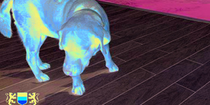 Террасная доска из ДПК Bamberg, Square, English Barnwood30