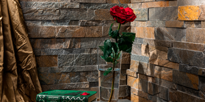 Кварцит Zeera Green Natural2