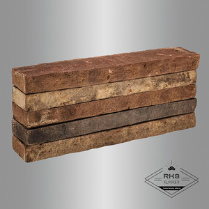 Клинкерный кирпич Тандем, Тюдоръ, Eco Long