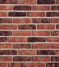 Кирпич облицовочный Formback graphit-bunt, 240х115х71 мм в Калуге