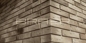 Кирпич облицовочный BRAER PRO 14.04.1 - Частный дом. Тверь 2 (2)